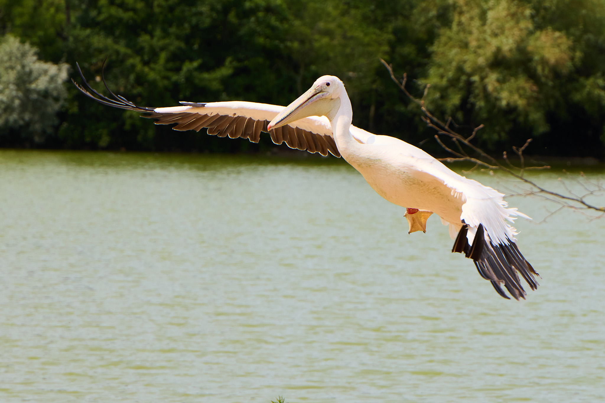  23L1670