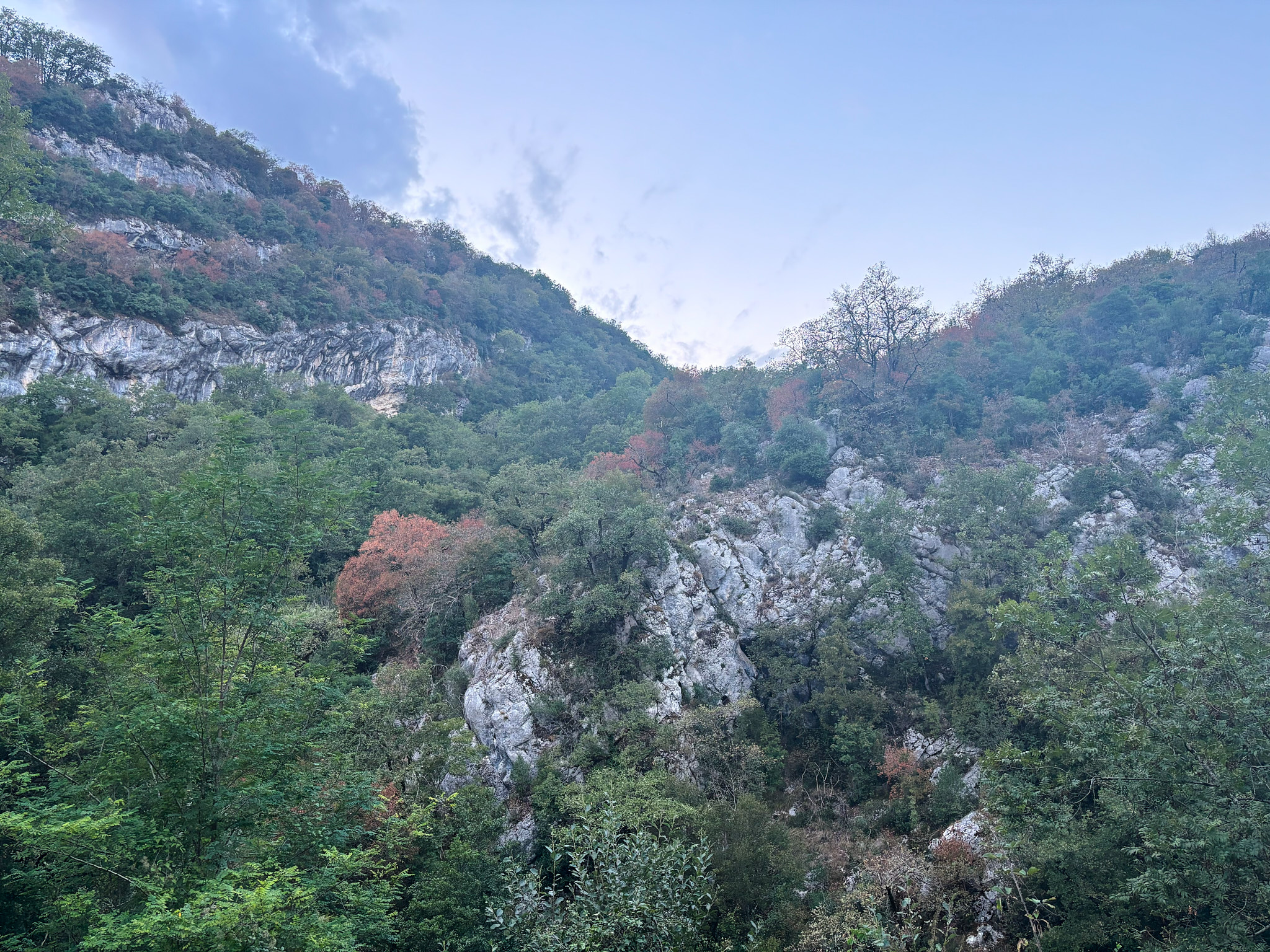 IMG 7397