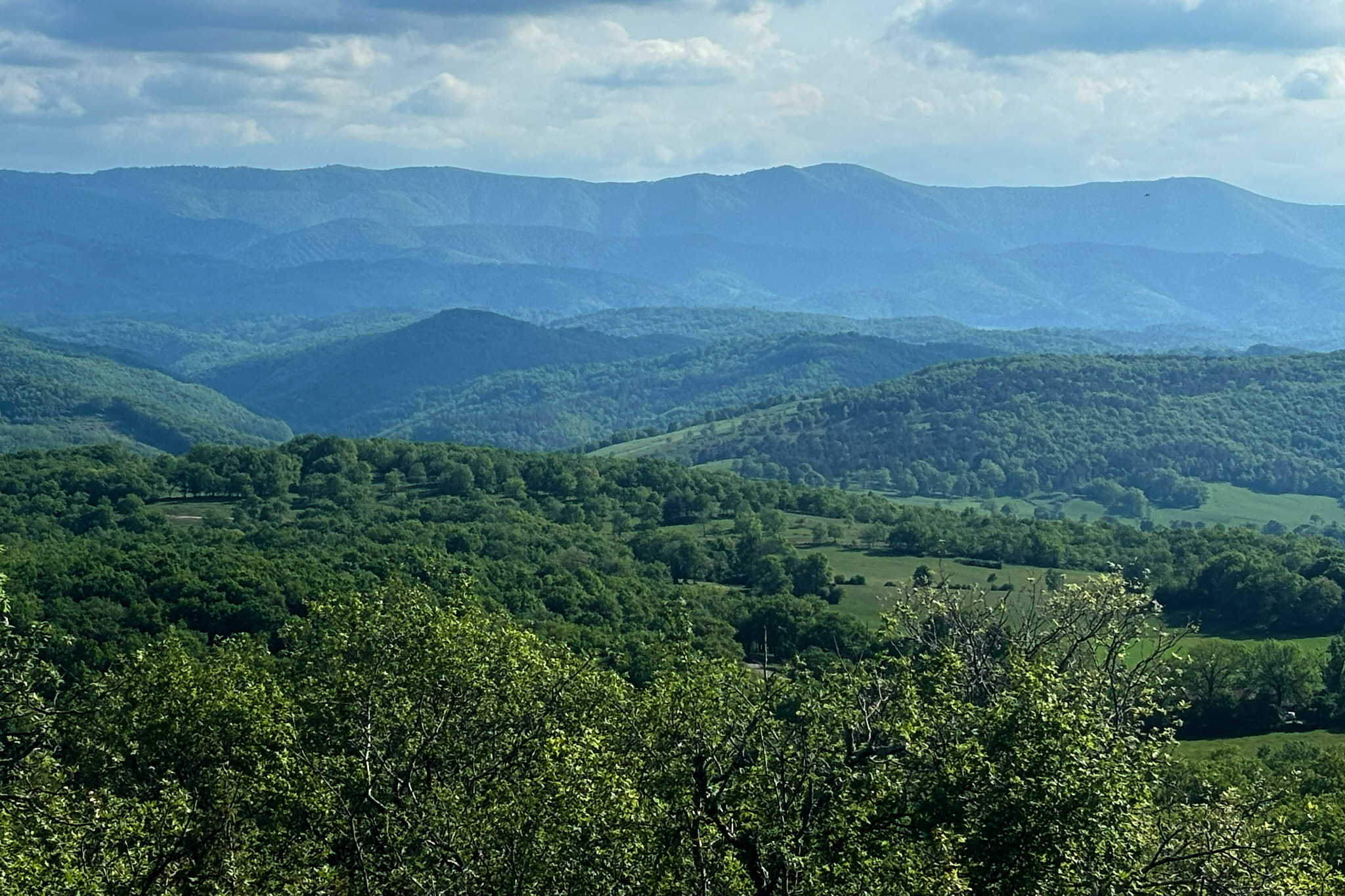 IMG 0166