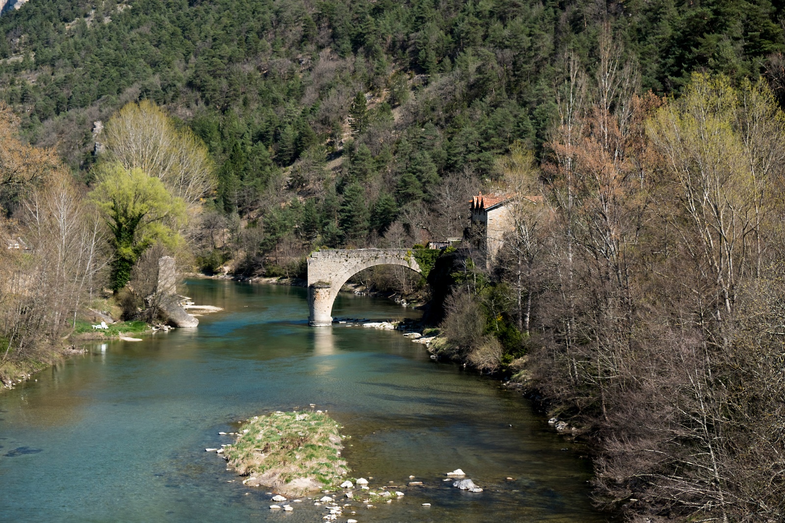 Gorges Du Tarn