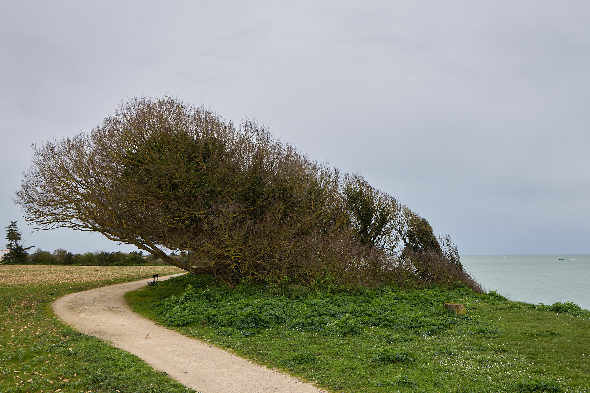  24L6975
