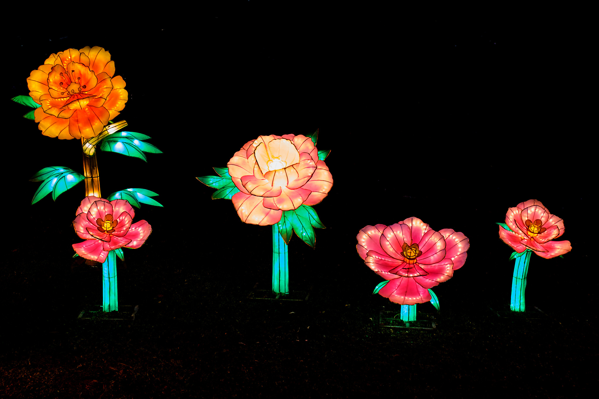 20213504