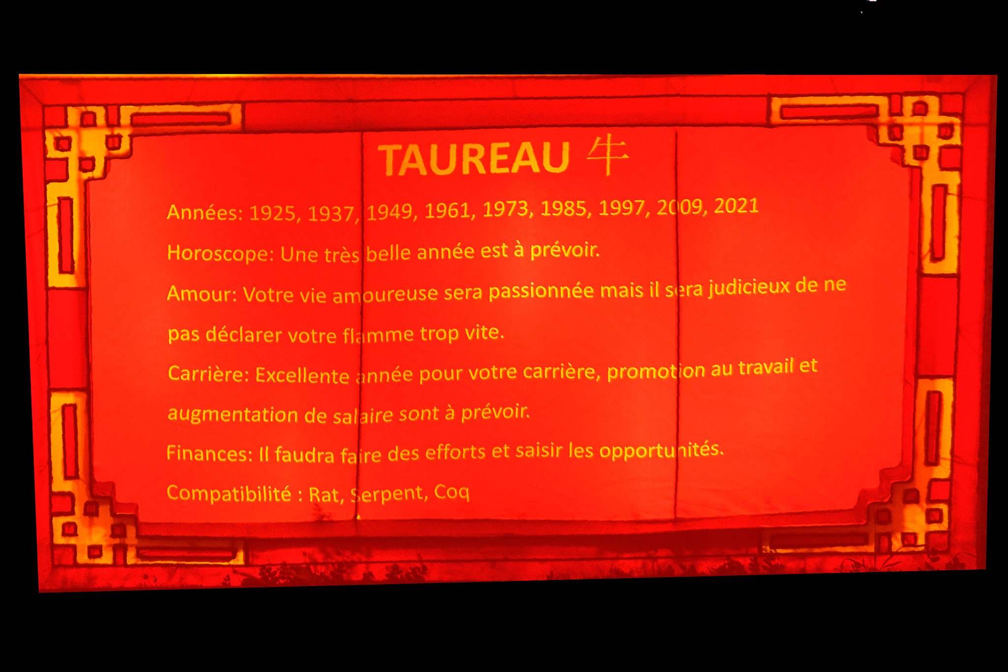20213584 1