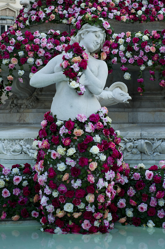 Fete de la rose_29-31mai2015