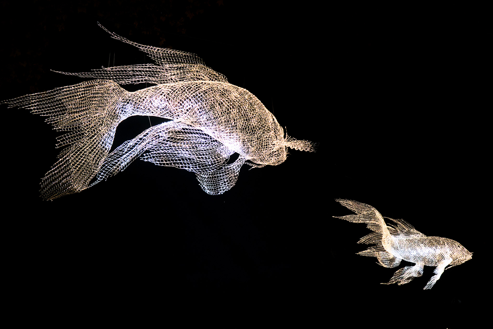 20213133