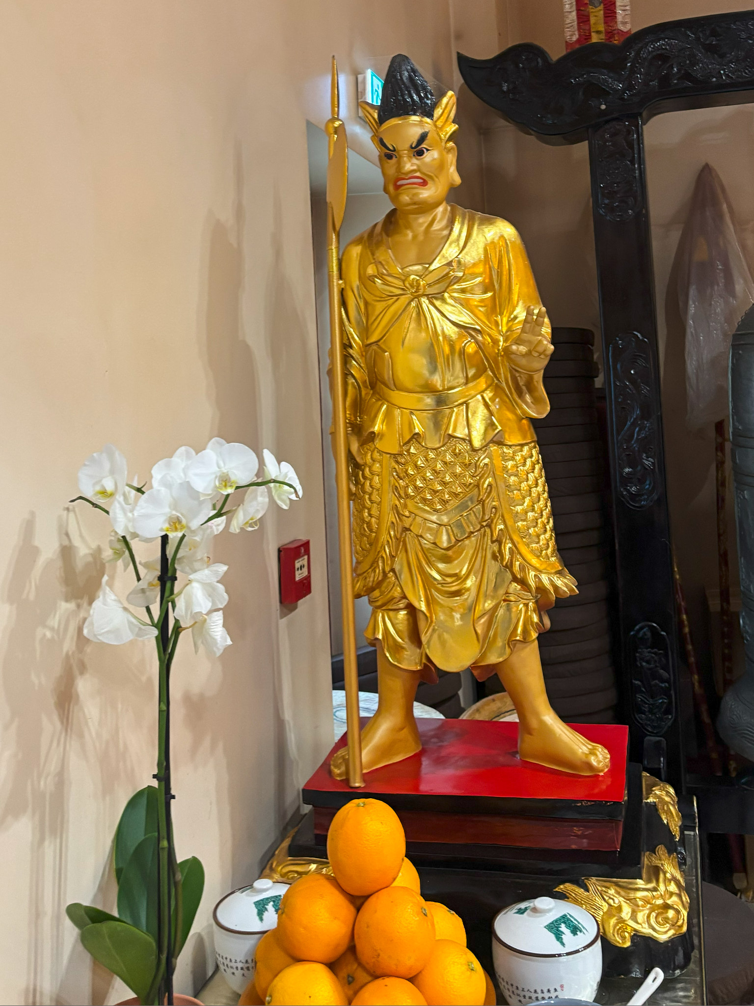 IMG 7761