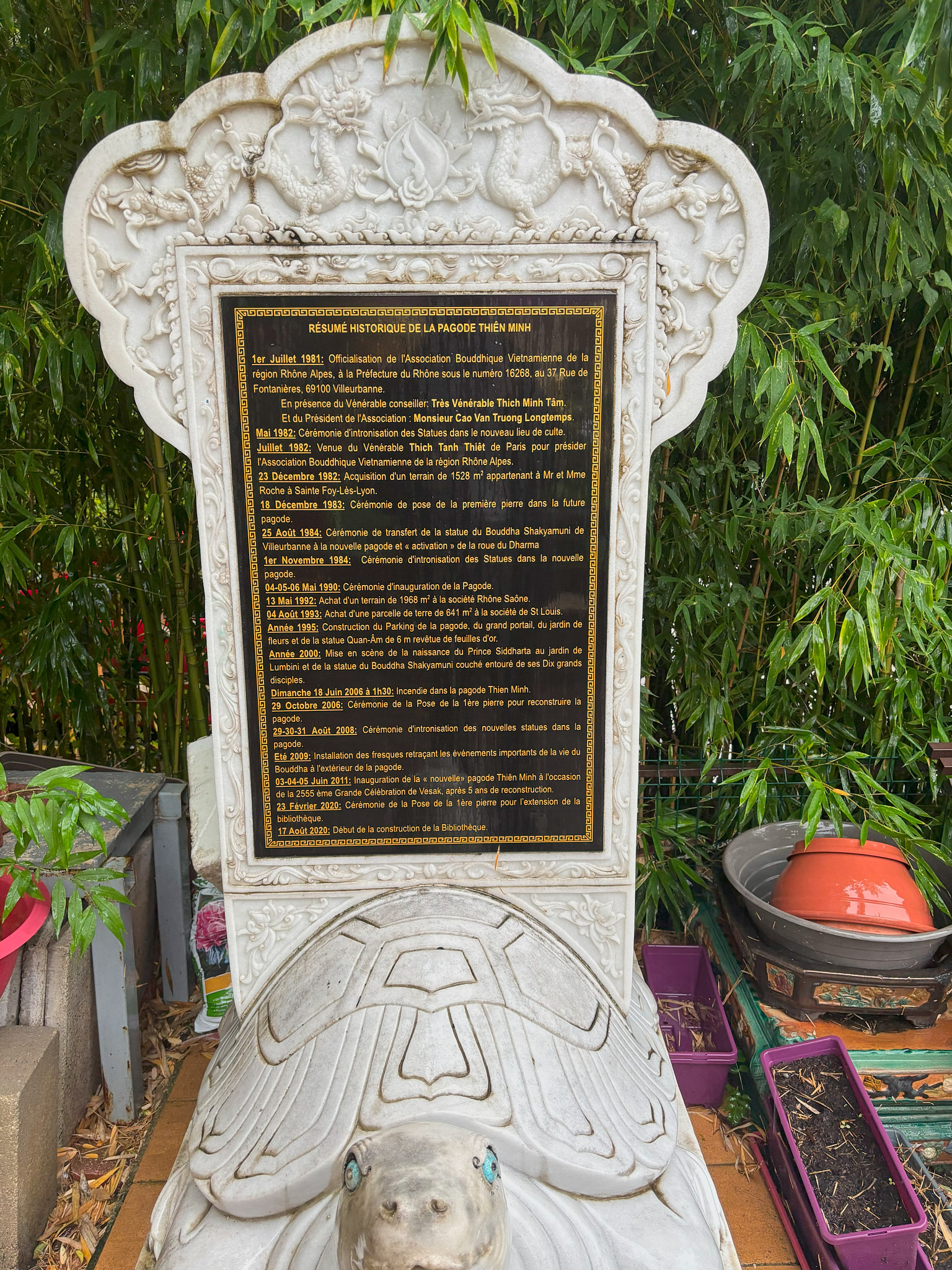 IMG 7769