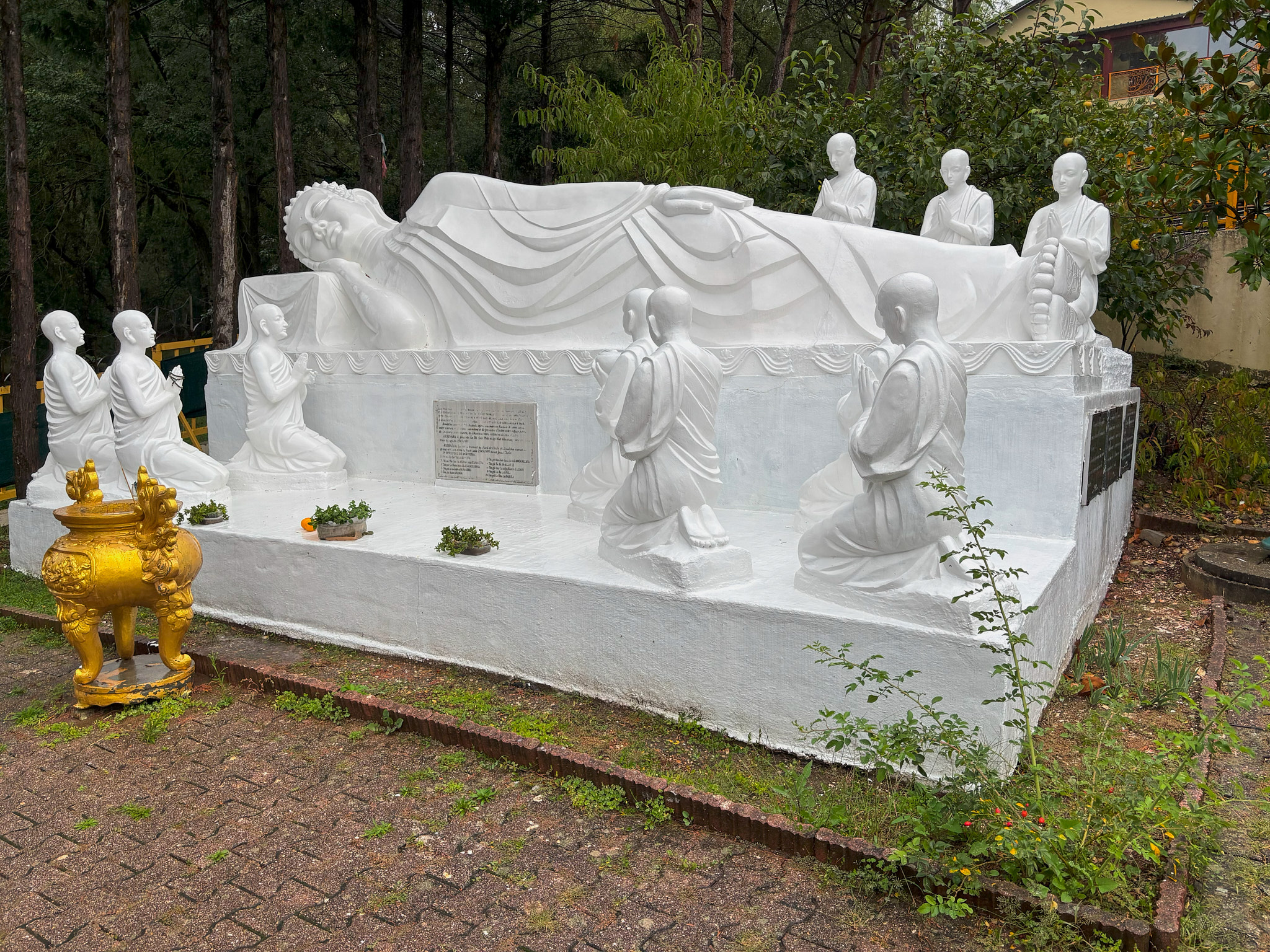 IMG 7793