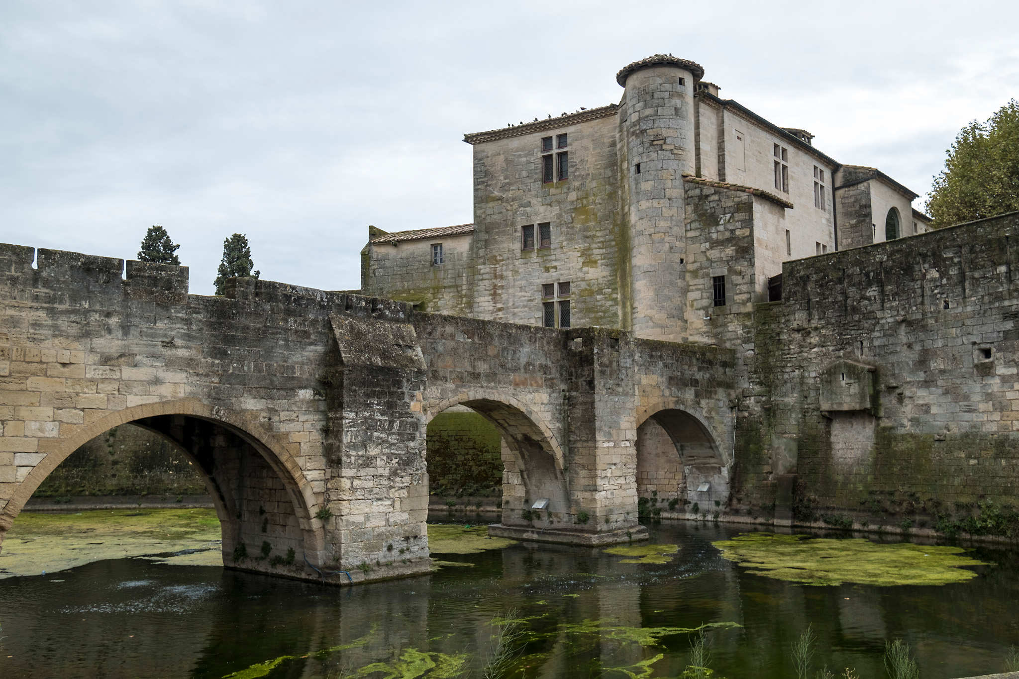 Aigues Mortes ET Salins Du Midi