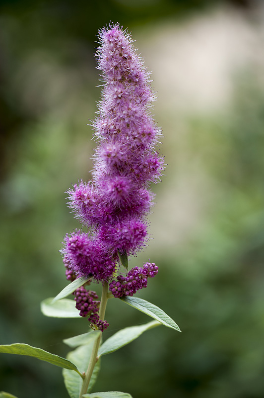 _0167697