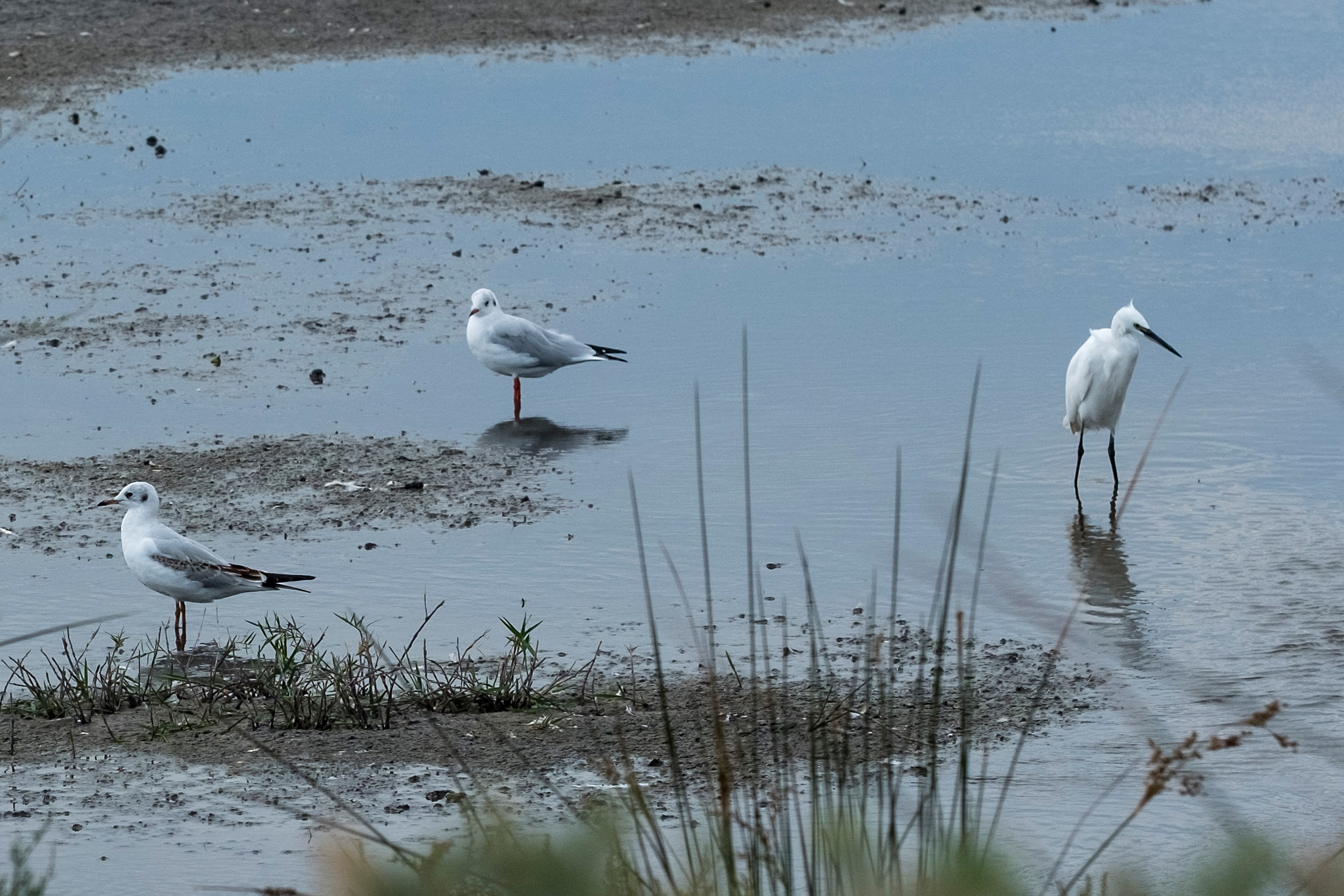  0196348